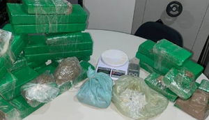 Drogas apreendidas na operação