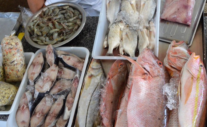 Peixe, camarão e sururu exigem atenção na hora da compra