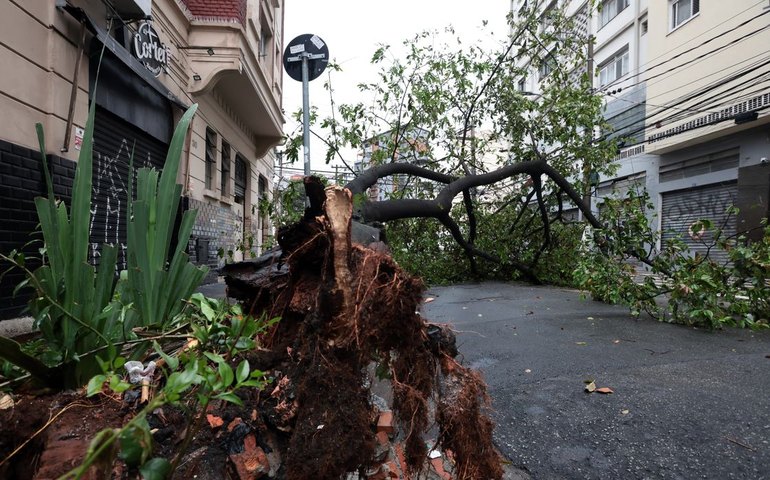 São Paulo enfrenta ventos de quase 100 km/h nesta quarta-feira