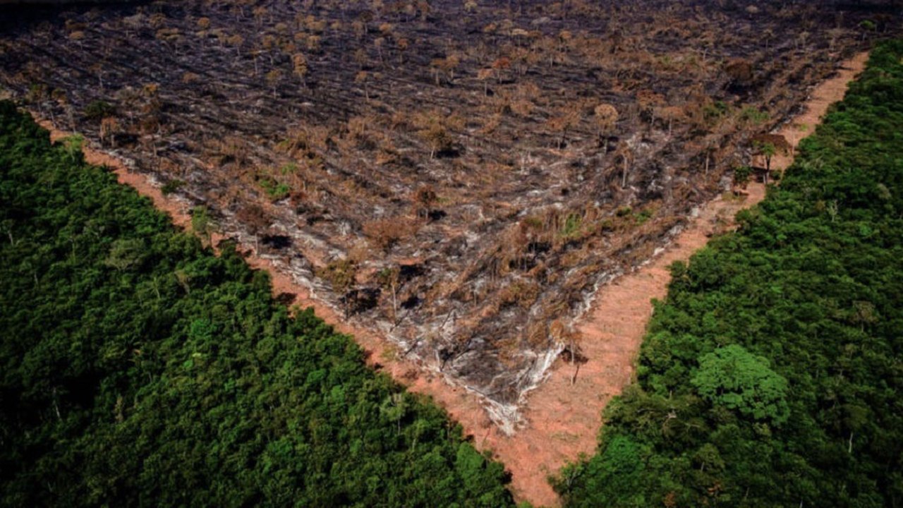 Desmatamento na Amazônia em junho é o maior em 5 anos