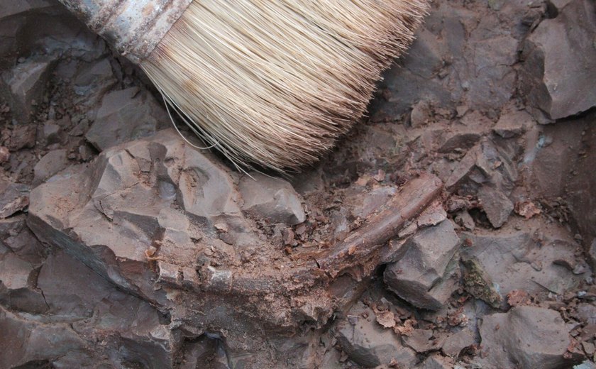 Arqueólogos revelam rituais brutais de guerra há 6 mil anos na França pré-histórica (FOTO)