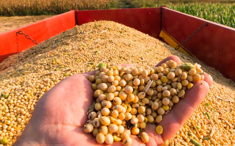 IGC reduz projeção da safra global de grãos para 2,255 bilhões de toneladas