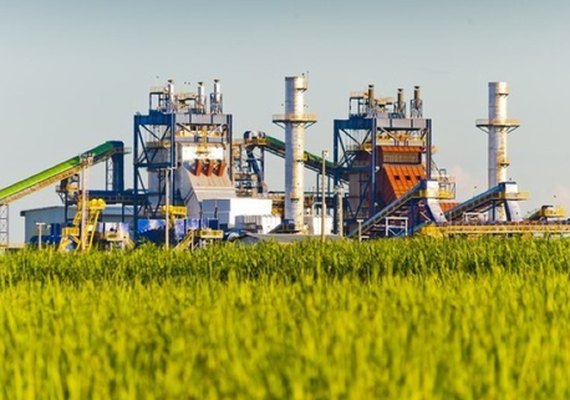 Indústria de Cana-de-açúcar e biomassa temem renovação da insenção tributária