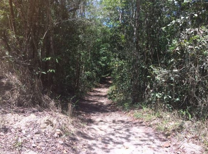 Semarh participa de criação de reserva para proteger Mata Atlântica