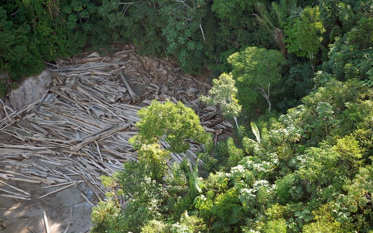 Sede da COP30, Pará melhora em desmatamento, mas ainda sofre com queimadas e garimpo ilegal