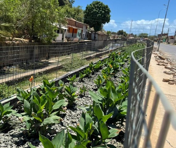 Vice-prefeito e secretário da Seminfra destaca papel dos jardins filtrantes no Renasce Salgadinho