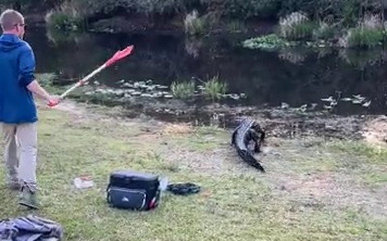 Marido herói espanta jacaré faminto com remo e impressiona esposa