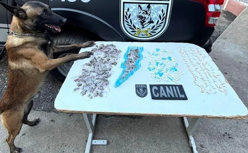 PM usa cão farejador e apreende 203 bombinhas de maconha, 208 pinos de cocaína e 188 pedras de crack