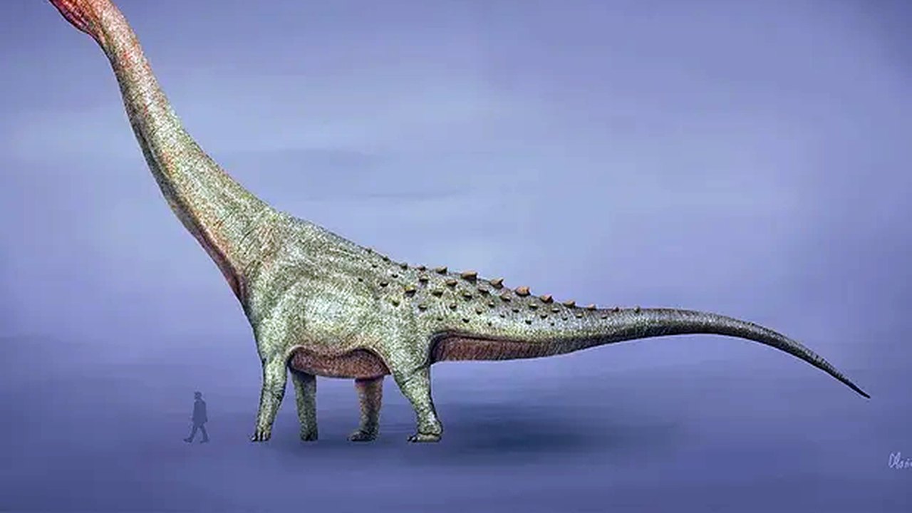 Exposição traz da Patagônia o maior dinossauro do mundo