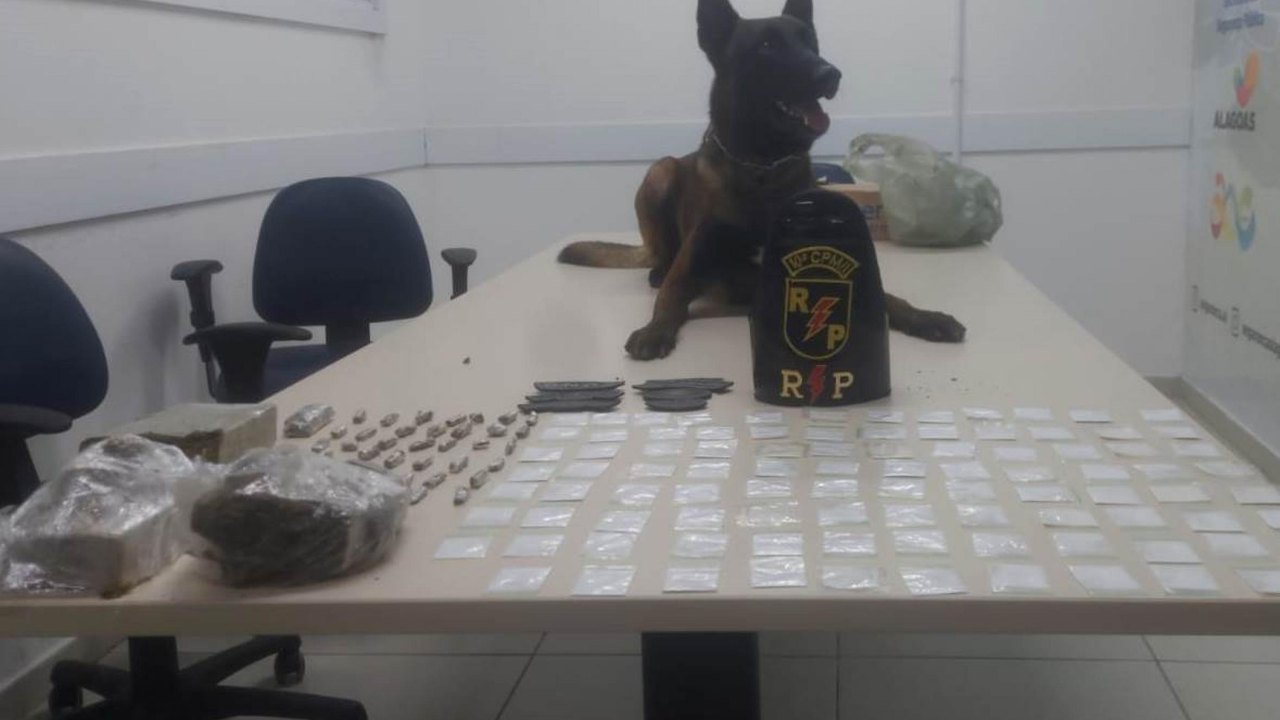 PM realiza prisões e apreensões em ações contra o crime na capital e interior