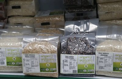 Pesquisa aponta que vendas de produtos orgânicos no país crescem 30%