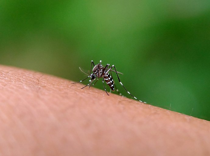 Estudo aponta que o Brasil poderá registrar até 1,8 milhão de casos prováveis de dengue até 2026