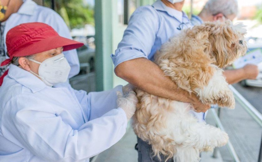 Saúde imuniza cães e gatos na parte baixa de Maceió no próximo fim de semana