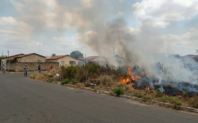 Incêndio em área de vegetação mobiliza Corpo de Bombeiros no bairro Planalto em Arapiraca