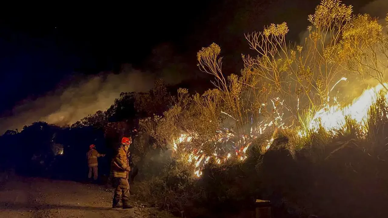Portugal declara estado de calamidade com incêndios fora do controle