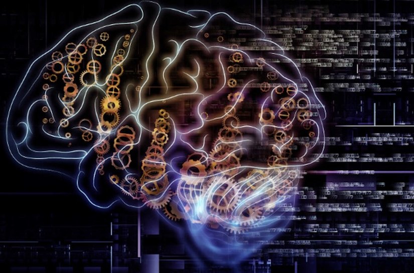 Neurociência e os benefícios da música para o desenvolvimento cerebral e a educação escolar