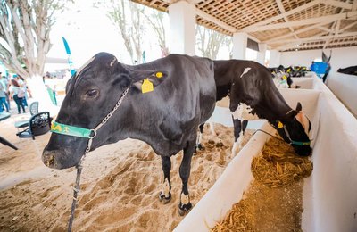 TecLeite marca pioneirismo de Alagoas na 42ª Expo Bacia Leiteira