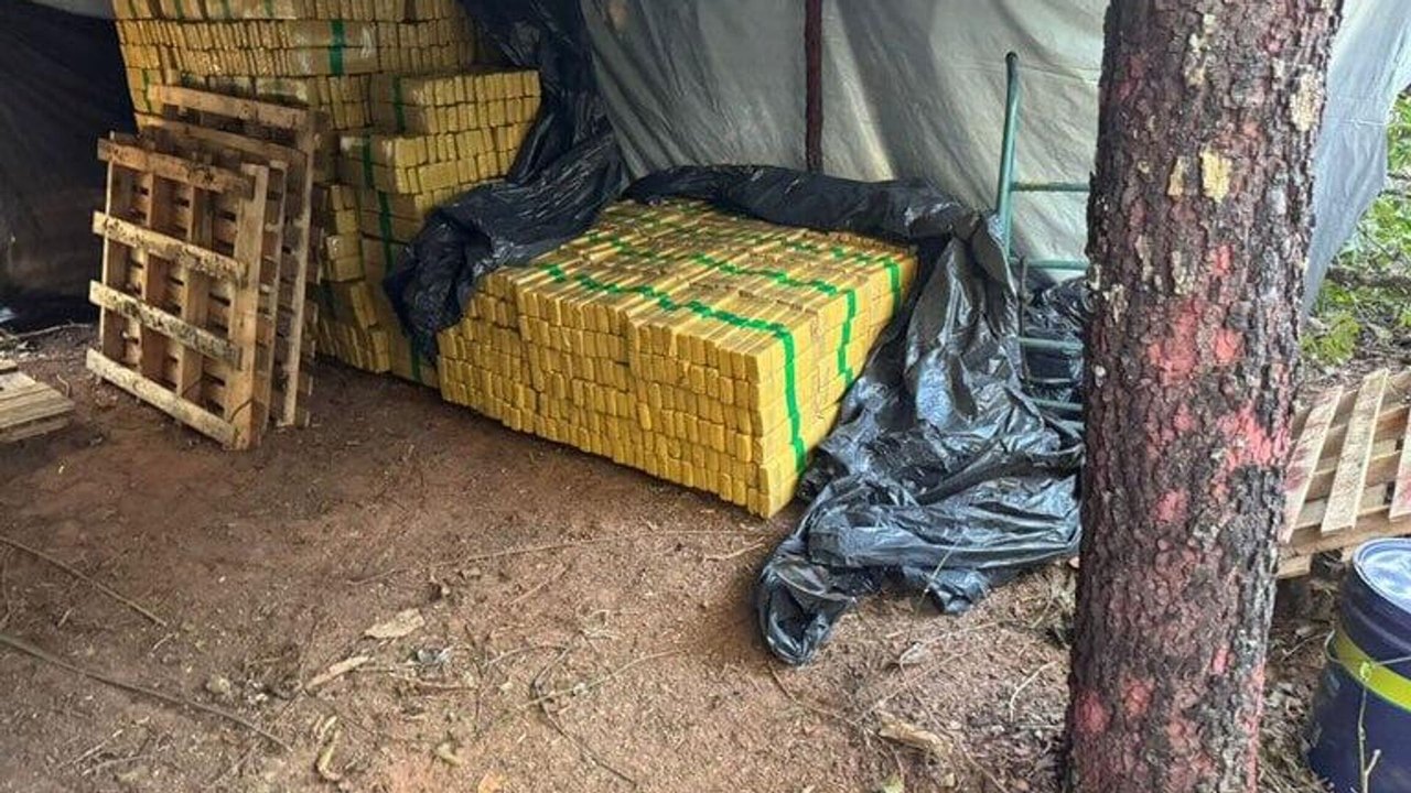 FICCO apreende mais de 8 toneladas de maconha em acampamento clandestino no interior de MS
