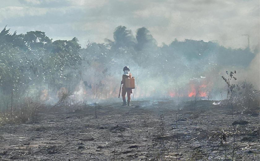 Bombeiros combatem incêndio em vegetação próxima a tubulações da Petrobras