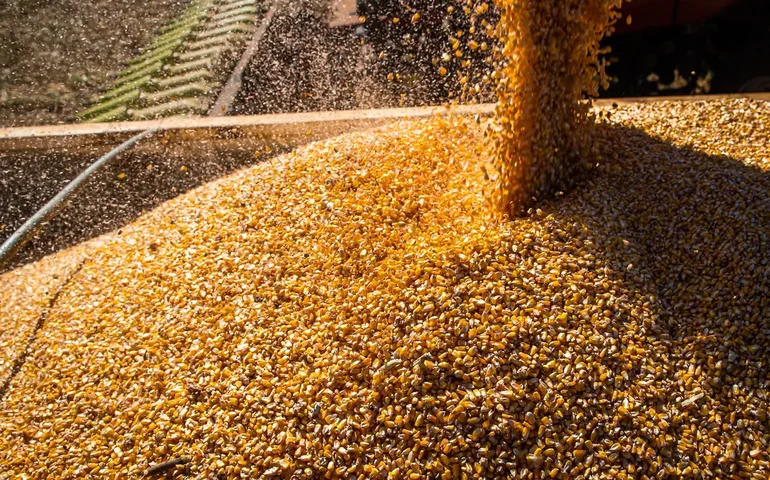 Bunge conclui fusão de US$ 8 bilhões com a Viterra