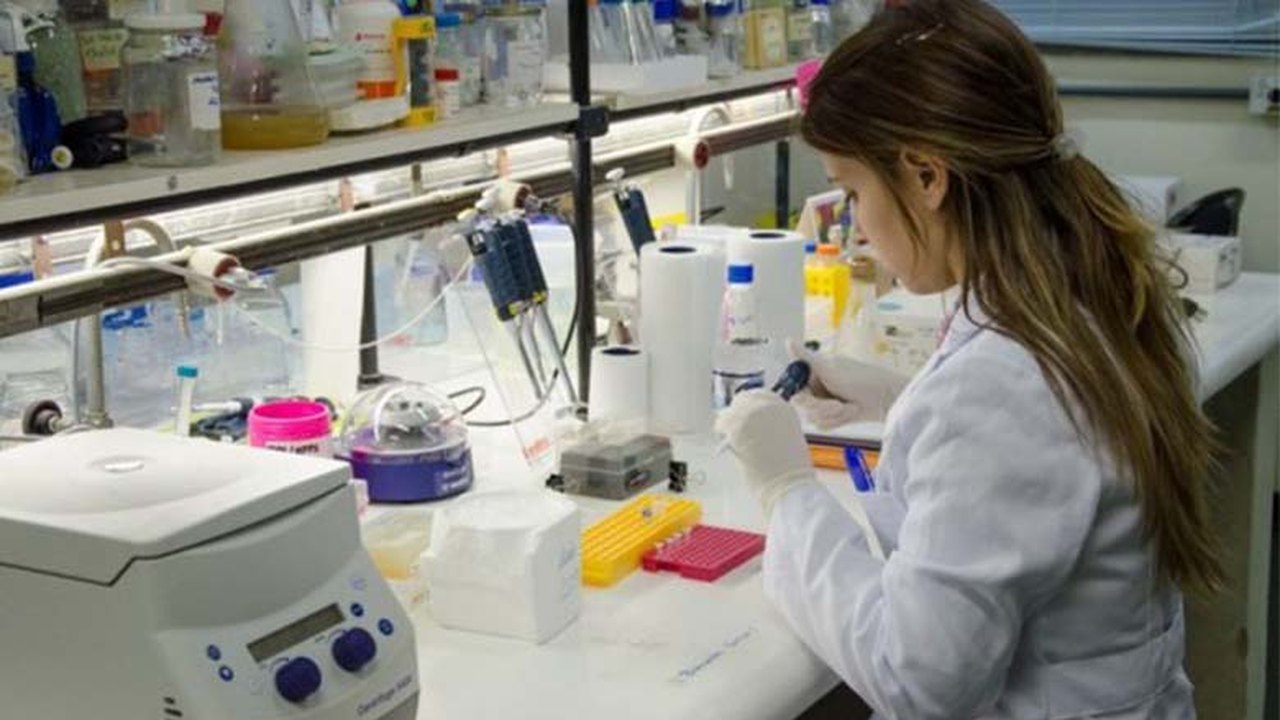 Detran/AL e Defensoria Pública firmam parceria para implantar CNH Social em Alagoas