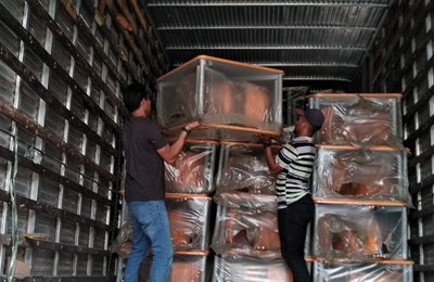 Com recursos próprios, prefeitura de Branquinha adquire novas carteiras para salas de aula