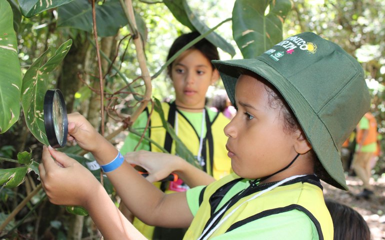 Participantes do Botânico Mirim participam de coleta de material no Cetas