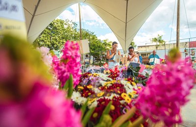 Cidade de Arapiraca se torna a capital das flores neste mês das mães