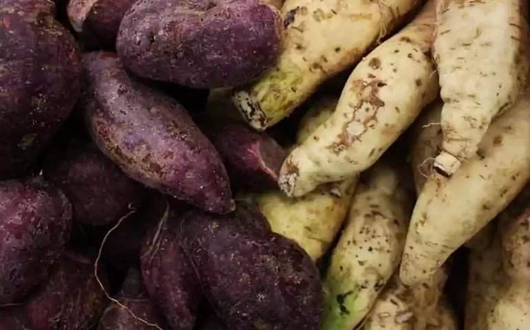 Batata, batata-doce, mandioca ou cará: qual dos quatro alimentos é melhor para a saúde? Nutricionista responde