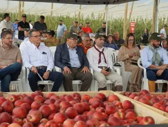 Foto-RASIP-3.jpg 