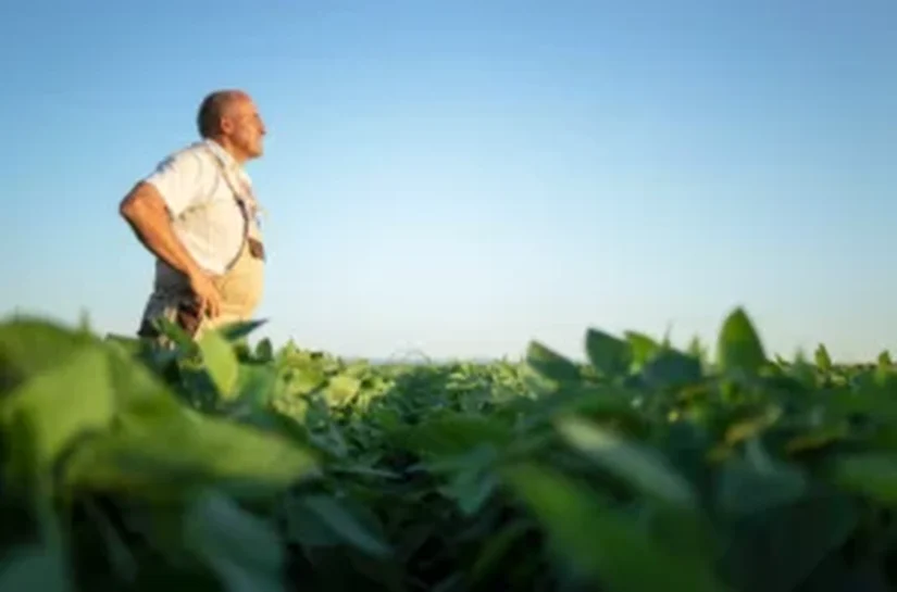 Resolução traz a publicação de nova linha de Crédito emergencial para agricultores