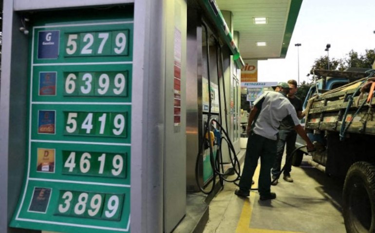 Uma divertida volta ao mundo dos dinossauros