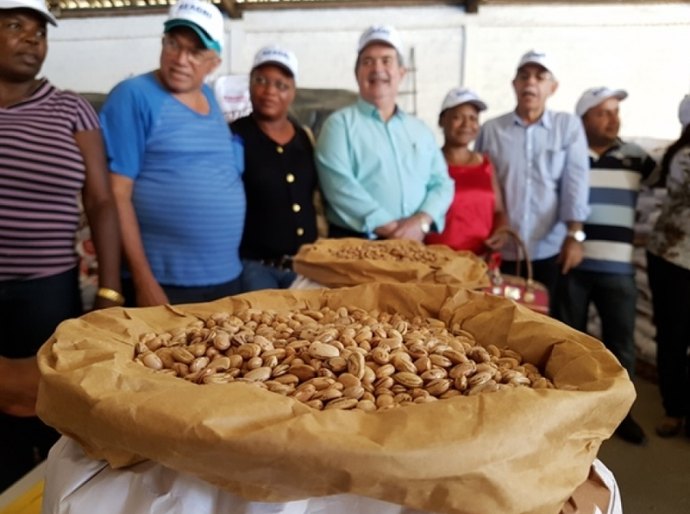 Seagri entrega 18 mil kg de sementes para comunidades tradicionais de AL