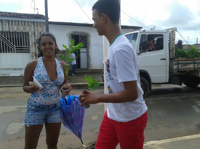 Mudas de Crotalária são distribuídas em São Miguel dos Campos