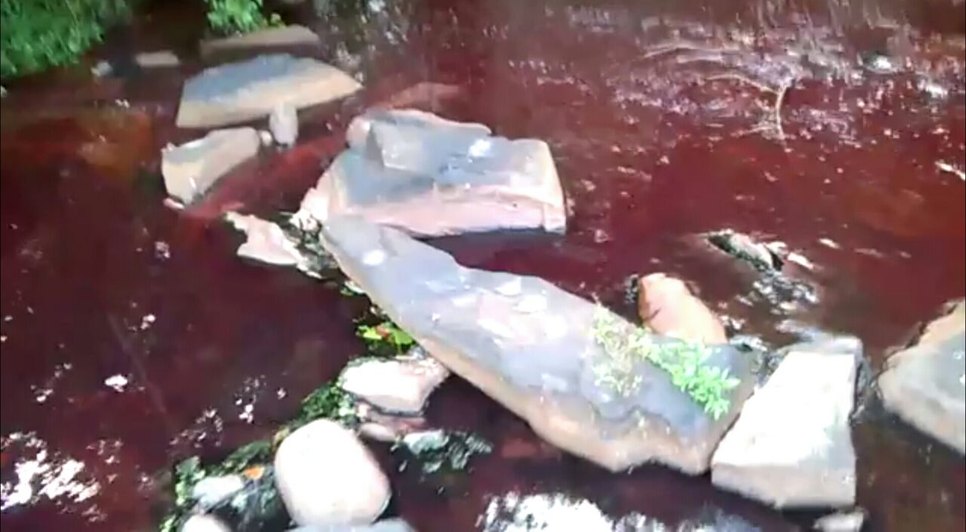 Rio vermelho
