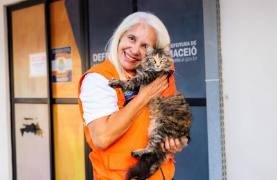 Na Defesa Civil de Maceió, três gatinhos encontram proteção, carinho e um lar