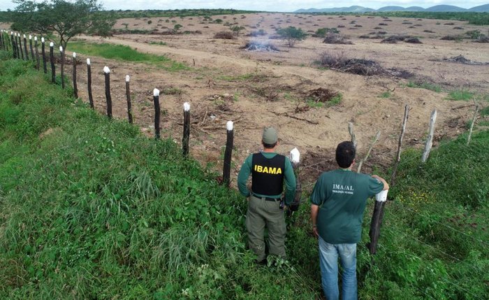 Focos de queimadas em Alagoas aumentam, segundo monitoramento do IMA