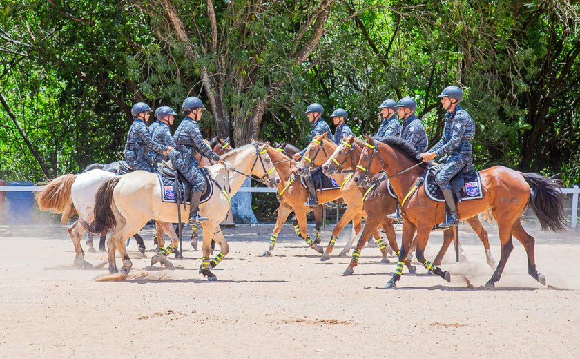 PM forma 10 militares no Curso de Policiamento Montado