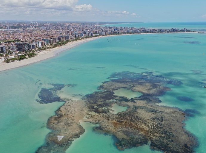 Carnaval em Maceió: Programação intensa com blocos e bailes movimenta a cidade antes e durante a folia