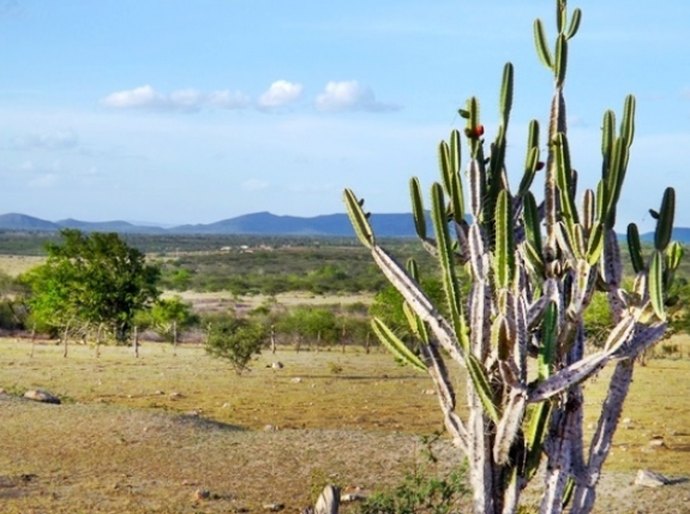 Seagri apresenta perspectivas climáticas para o Nordeste