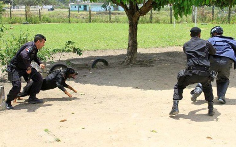 Tropa do 2º Batalhão em União dos Palmares recebe capacitação operacional