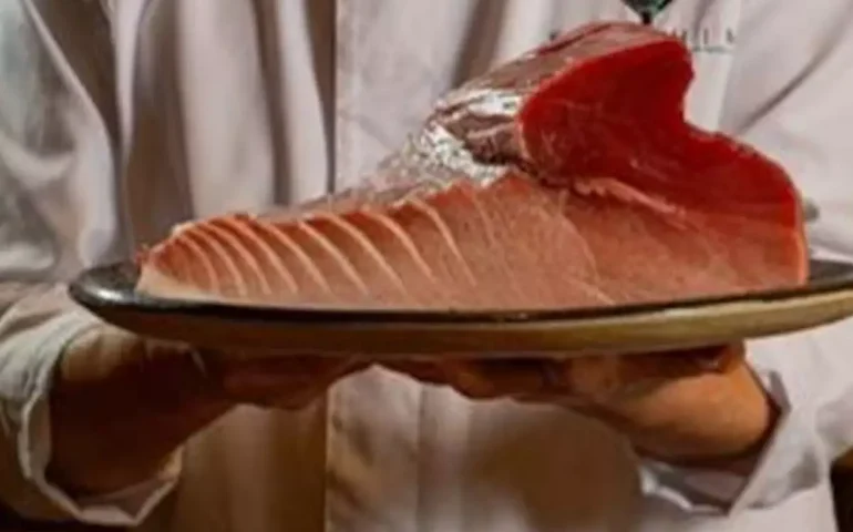 Saiba como é a abertura de um bluefin e onde comer os cortes mais nobres