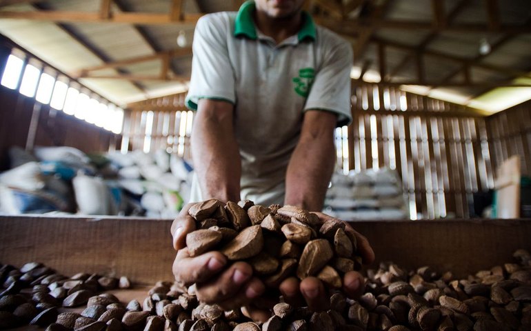 Amazon Week 2025 debate bioeconomia amazônica
