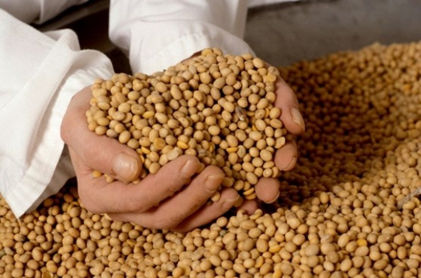 Conselho valida criação de Comissão Estadual de Extensão Rural