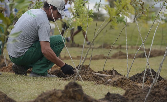 Restaura Caatinga ganha destaque neste 21 de setembro Restaura Caatinga ganha destaque neste 21 de setembro