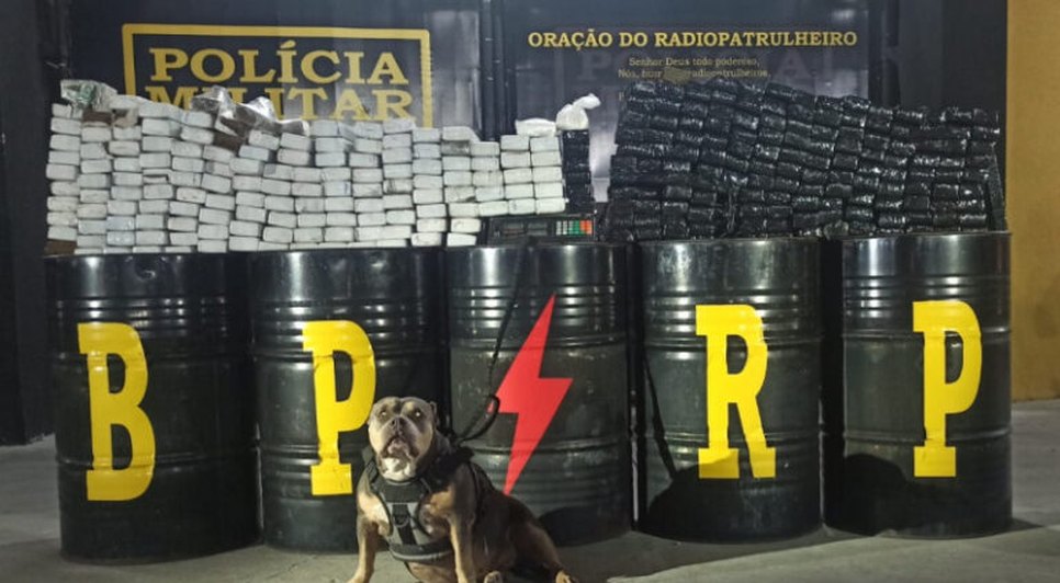 Foto: PMSE / Foto: Foto: PMSE