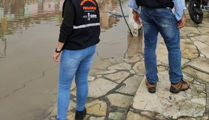VIGILÂNCIA AMBIENTAL CHUVA / Foto: SES