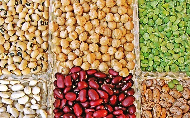Leguminosas secas são ricas em fibras e vitaminas e ajudam a perder calorias