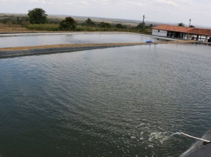 Pequenas barragens asseguram água para famílias no Sertão alagoano