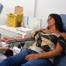 Hemoal funciona com escala especial no feriadão da Emancipação Política de AL